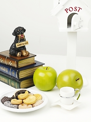 포토 JPG 스튜디오촬영 식물 그릇 접시 커피 음료 인형 과일 디저트 사람없음 장식 책 컵 농작물 쿠키 제과 과자 빵집 우체통 개 강아지 사과 커피잔 오브젝트 강아지인형 반려 국내포토 식기 음식 농업 포유류 잔 실내 반려동물 제과제빵 상점 파일형식