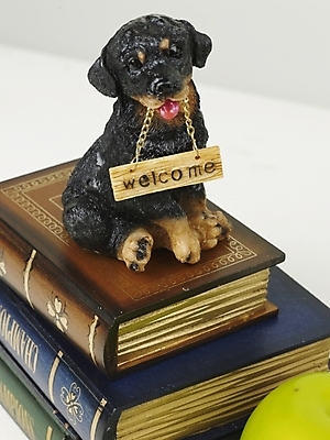 포토 JPG 스튜디오촬영 동물 인형 백그라운드 디저트 근접촬영 사람없음 책 반려동물 하이앵글 개 강아지 사과 오브젝트 강아지인형 반려 국내포토 음식 뷰포인트 과일 포유류 실내 파일형식