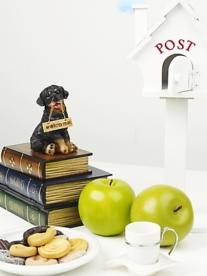 포토 JPG 스튜디오촬영 식물 커피 음료 인형 과일 디저트 사람없음 책 농작물 쿠키 제과 과자 개 강아지 사과 커피잔 오브젝트 풋사과 강아지인형 반려 국내포토 음식 농업 포유류 잔 실내 반려동물 제과제빵 파일형식