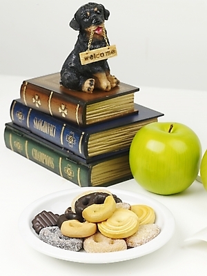 포토 JPG 스튜디오촬영 식물 인형 과일 디저트 사람없음 책 농작물 쿠키 제과 과자 개 강아지 사과 오브젝트 강아지인형 반려 국내포토 음식 농업 포유류 실내 반려동물 제과제빵 파일형식