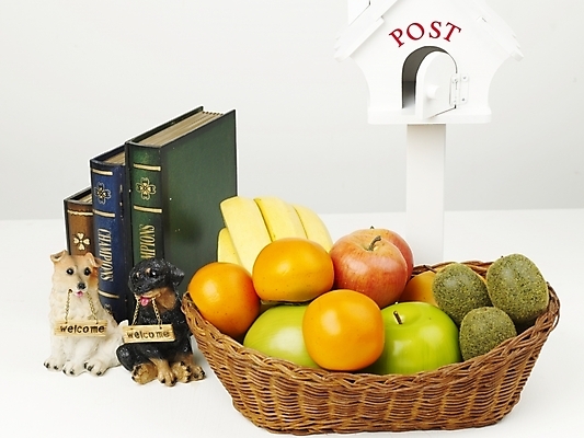 포토 JPG 스튜디오촬영 식물 인형 과일 디저트 바나나 키위 감 사람없음 책 농작물 하이앵글 개 강아지 사과 오브젝트 과일바구니 강아지인형 반려 국내포토 음식 뷰포인트 농업 포유류 실내 반려동물 바구니 파일형식