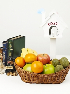 포토 JPG 스튜디오촬영 식물 인형 과일 디저트 바나나 키위 감 사람없음 장식 책 농작물 하이앵글 바구니 우체통 개 강아지 사과 오브젝트 과일바구니 풋사과 강아지인형 단감 반려 국내포토 음식 뷰포인트 농업 포유류 실내 반려동물 파일형식