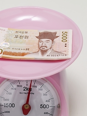 포토 JPG 스튜디오촬영 지폐 돈 실내 저울 근접촬영 사람없음 금융 경제 오브젝트 계량기 오천원 오천원권 국내포토 뷰포인트 내부 재산 파일형식