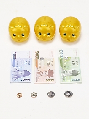 포토 JPG 스튜디오촬영 지폐 돈 실내 누끼 사람없음 금융 경제 돼지저금통 만원 오브젝트 천원 오천원권 국내포토 내부 저금통 재산 파일형식