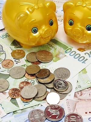 포토 JPG 스튜디오촬영 지폐 돈 실내 사람없음 금융 경제 동전 돼지저금통 오브젝트 국내포토 내부 저금통 재산 파일형식