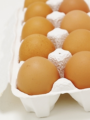 포토 JPG 스튜디오촬영 음식 식재료 실내 근접촬영 사람없음 계란 알 생란 국내포토 뷰포인트 내부 파일형식