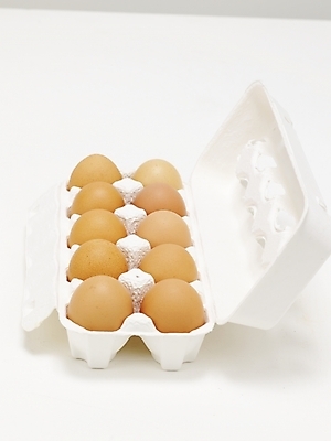 포토 JPG 스튜디오촬영 음식 식재료 실내 사람없음 계란 알 생란 국내포토 내부 파일형식