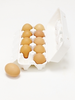 포토 JPG 스튜디오촬영 음식 식재료 실내 사람없음 계란 알 생란 국내포토 내부 파일형식