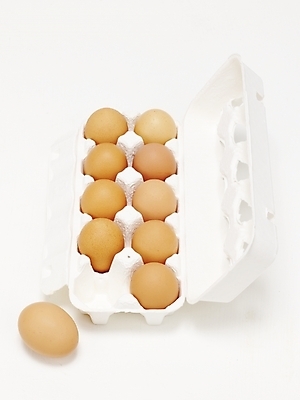 포토 JPG 스튜디오촬영 음식 식재료 실내 사람없음 계란 알 생란 국내포토 내부 파일형식