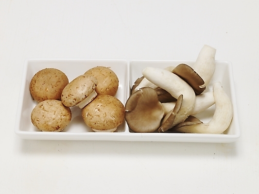 포토 JPG 스튜디오촬영 식물 접시 음식 채소 식재료 실내 사람없음 버섯 식용버섯 양송이 송이버섯 국내포토 식기 내부 파일형식