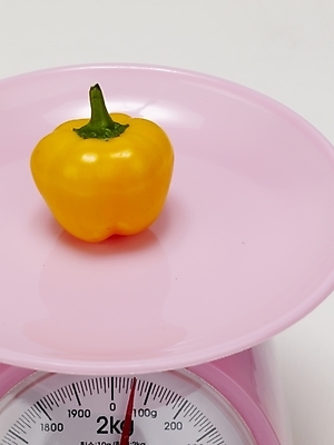 포토 JPG 스튜디오촬영 식물 음식 컬러 생활용품 채소 식재료 피망 파프리카 실내 저울 사람없음 한개 노란색 무게 측정 계량기 국내포토 1 내부 오브젝트 파일형식