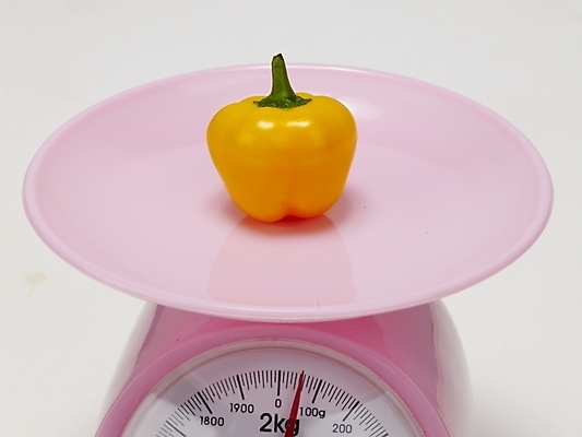 포토 JPG 스튜디오촬영 식물 음식 컬러 생활용품 채소 식재료 피망 파프리카 실내 저울 사람없음 한개 노란색 무게 측정 계량기 국내포토 1 내부 오브젝트 파일형식