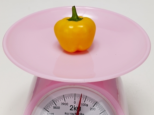 포토 JPG 스튜디오촬영 식물 음식 컬러 생활용품 채소 식재료 피망 파프리카 실내 저울 사람없음 한개 노란색 무게 측정 계량기 국내포토 1 내부 오브젝트 파일형식