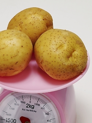 포토 JPG 스튜디오촬영 식물 음식 컬러 생활용품 채소 식재료 감자 실내 저울 사람없음 세개 무게 측정 계량기 국내포토 3 내부 오브젝트 파일형식