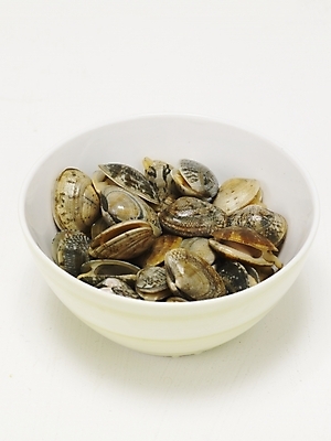 포토 JPG 스튜디오촬영 그릇 음식 식재료 조개 어패류 실내 사람없음 대접 바지락 국내포토 동물 식기 내부 파일형식