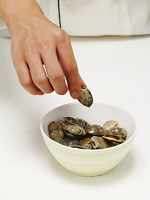 포토 JPG 스튜디오촬영 그릇 손 음식 식재료 조개 어패류 실내 한명 들기 사람 신체부위 주방장 요리사 대접 조리복 바지락 국내포토 동물 직업 1 식기 유니폼 모션 내부 파일형식