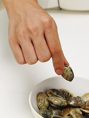 포토 JPG 스튜디오촬영 그릇 손 음식 식재료 조개 어패류 실내 한명 들기 사람 근접촬영 신체부위 주방장 요리사 대접 조리복 바지락 국내포토 동물 직업 1 식기 뷰포인트 유니폼 모션 내부 파일형식