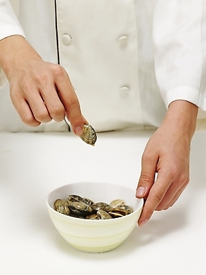 포토 JPG 스튜디오촬영 그릇 손 음식 식재료 조개 어패류 실내 한명 들기 사람 신체부위 주방장 요리사 대접 조리복 바지락 국내포토 동물 직업 1 식기 유니폼 모션 내부 파일형식