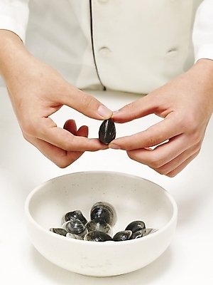 포토 JPG 스튜디오촬영 그릇 손 음식 식재료 조개 어패류 실내 한명 들기 사람 신체부위 주방장 요리사 대접 조리복 재료손질 손질 가무락 모시조개 국내포토 동물 직업 1 식기 유니폼 모션 내부 파일형식