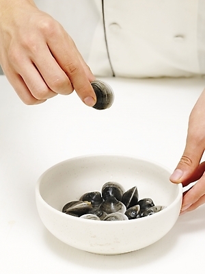 포토 JPG 스튜디오촬영 그릇 손 음식 식재료 조개 어패류 실내 한명 들기 사람 신체부위 주방장 요리사 대접 조리복 가무락 모시조개 국내포토 동물 직업 1 식기 유니폼 모션 내부 파일형식