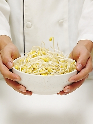 포토 JPG 스튜디오촬영 식물 그릇 손 음식 채소 식재료 실내 한명 들기 사람 신체부위 주방장 요리사 대접 조리복 나물 콩나물 국내포토 직업 1 식기 유니폼 모션 내부 파일형식