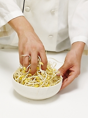 포토 JPG 스튜디오촬영 식물 그릇 손 음식 채소 식재료 실내 한명 사람 신체부위 주방장 요리사 대접 조리복 나물 콩나물 국내포토 직업 1 식기 유니폼 내부 파일형식