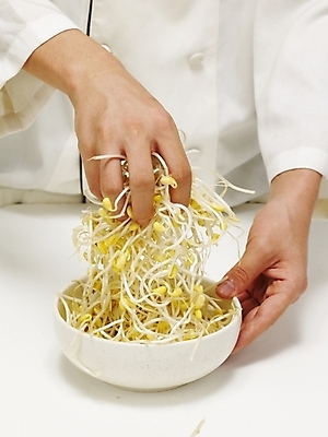 포토 JPG 스튜디오촬영 식물 그릇 손 음식 채소 식재료 실내 한명 사람 신체부위 주방장 요리사 대접 조리복 나물 콩나물 국내포토 직업 1 식기 유니폼 내부 파일형식