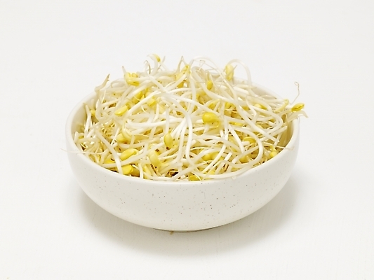 포토 JPG 스튜디오촬영 식물 그릇 음식 채소 식재료 실내 사람없음 대접 나물 콩나물 국내포토 식기 내부 파일형식