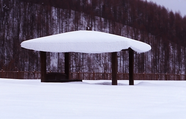 포토 JPG 주간 건축물 고건축 설경 겨울 산 한국 풍경 사람없음 야외 눈 구조물 숲 정자 원두막 국내포토 자연요소 계절 건축 아시아 날씨 파일형식