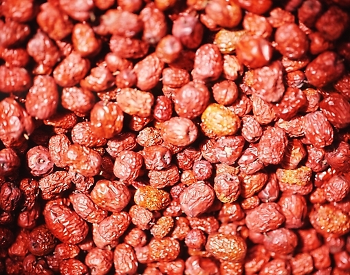 포토 JPG 주간 식물 열매 음식 사람없음 견과류 대추 국내포토 자연요소 파일형식