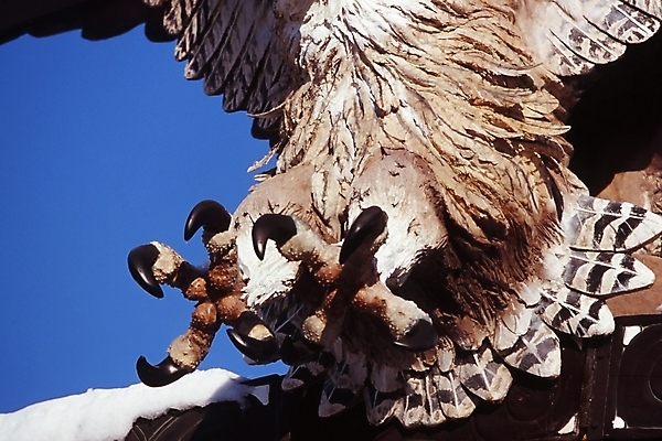 포토 JPG 주간 동물 척추동물 겨울 발 조류 사람없음 야외 눈 다리 구조물 올빼미 박제 발톱 국내포토 자연요소 계절 건축 날씨 신체부위 파일형식