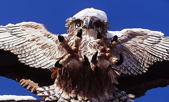 포토 JPG 주간 동물 척추동물 겨울 조류 사람없음 야외 눈 구조물 올빼미 박제 국내포토 자연요소 계절 건축 날씨 파일형식