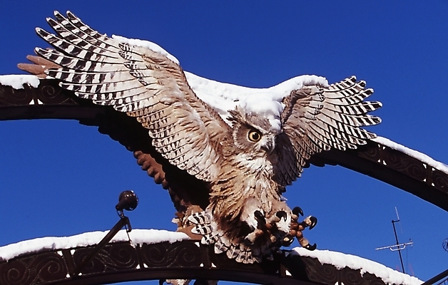 포토 JPG 주간 동물 척추동물 겨울 조류 사람없음 야외 눈 구조물 올빼미 박제 국내포토 자연요소 계절 건축 날씨 파일형식