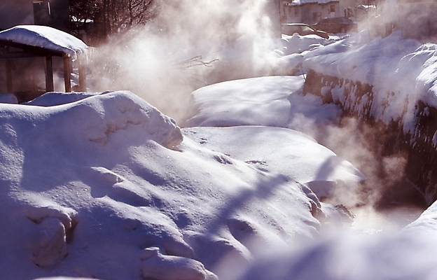 포토 JPG 주간 나무 건축 설경 겨울 주택 풍경 사람없음 야외 건물 온천 눈 구조물 연기 국내포토 자연요소 식물 건축물 계절 날씨 스파 파일형식