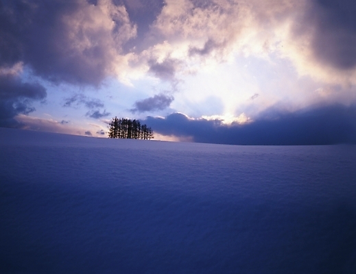 포토 JPG 주간 나무 구름 설경 겨울 하늘 풍경 초원 사람없음 야외 노을 일몰 눈 국내포토 자연요소 식물 계절 날씨 파일형식