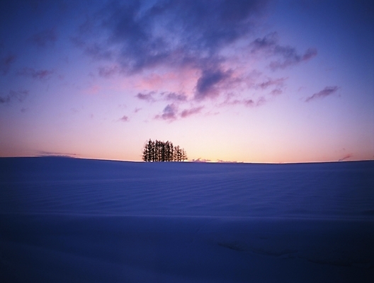 포토 JPG 주간 나무 식물 구름 설경 겨울 하늘 풍경 초원 사람없음 야외 노을 일몰 눈 국내포토 자연요소 계절 날씨 파일형식