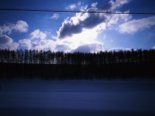 포토 JPG 주간 나무 구름 설경 겨울 하늘 풍경 초원 사람없음 야외 눈 국내포토 자연요소 식물 계절 날씨 파일형식