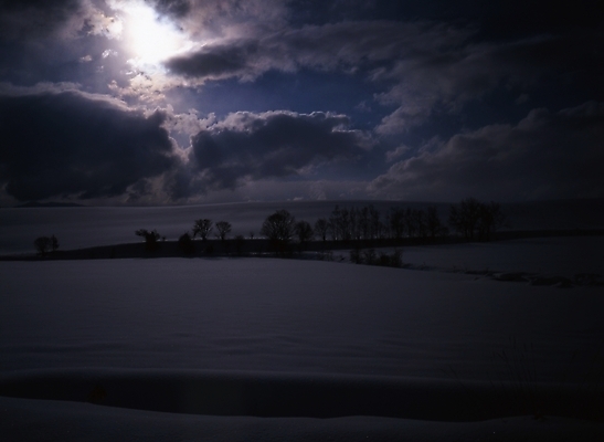 포토 JPG 주간 나무 설경 겨울 하늘 풍경 초원 사람없음 야외 눈 국내포토 자연요소 식물 계절 날씨 파일형식