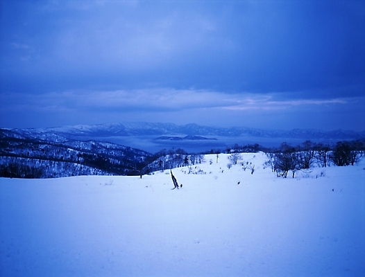 포토 JPG 주간 나무 식물 설경 겨울 하늘 산 풍경 초원 사람없음 야외 눈 국내포토 자연요소 계절 날씨 파일형식