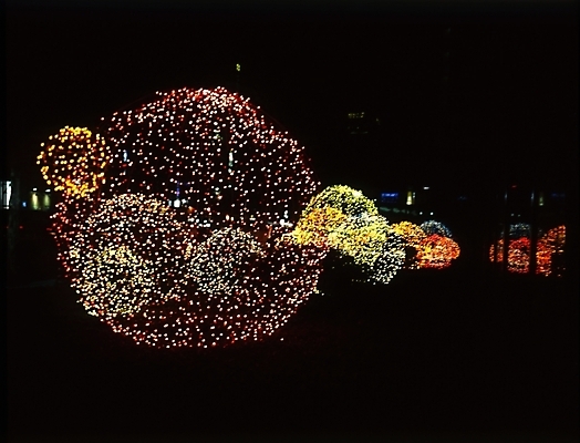 포토 JPG 야경 폭죽 불꽃놀이 사람없음 야외 오브젝트 국내포토 놀이 야간 파일형식 풍경_경치