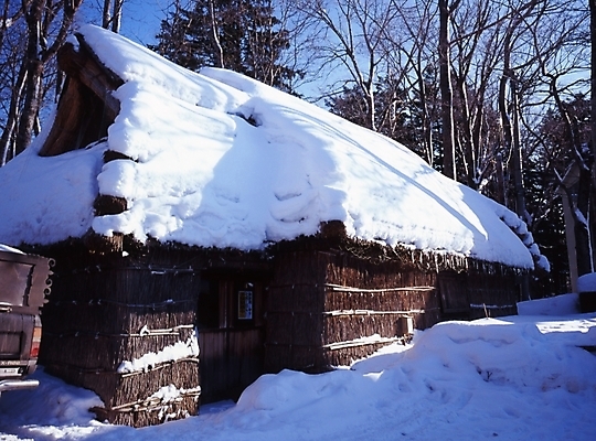 포토 JPG 주간 나무 식물 시설물 현대건축 건축 고건축 설경 겨울 하늘 주택 한국 초가집 풍경 사람없음 야외 건물 눈 숲 국내포토 자연요소 건축물 계절 아시아 날씨 한옥 파일형식