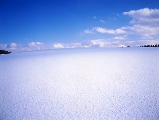 포토 JPG 주간 나무 구름 설경 겨울 하늘 풍경 초원 사람없음 야외 눈 국내포토 자연요소 식물 계절 날씨 파일형식