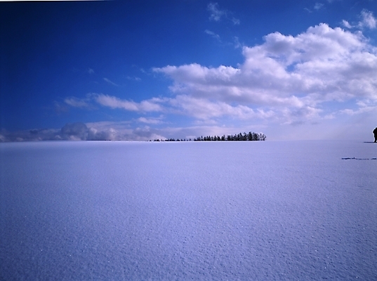 포토 JPG 주간 나무 구름 설경 겨울 하늘 풍경 초원 사람없음 야외 눈 국내포토 자연요소 식물 계절 날씨 파일형식