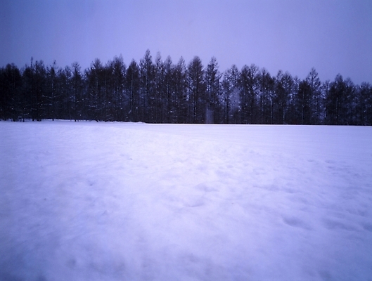 포토 JPG 주간 식물 설경 겨울 하늘 산 풍경 초원 사람없음 야외 눈 숲 국내포토 자연요소 계절 날씨 파일형식