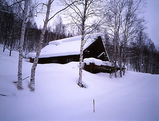 포토 JPG 주간 나무 식물 시설물 건축물 현대건축 건축 설경 겨울 하늘 산 주택 풍경 사람없음 야외 건물 눈 숲 국내포토 자연요소 계절 날씨 파일형식