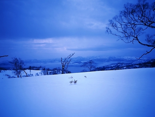포토 JPG 주간 나무 설경 겨울 하늘 산 풍경 초원 사람없음 야외 눈 국내포토 자연요소 식물 계절 날씨 파일형식