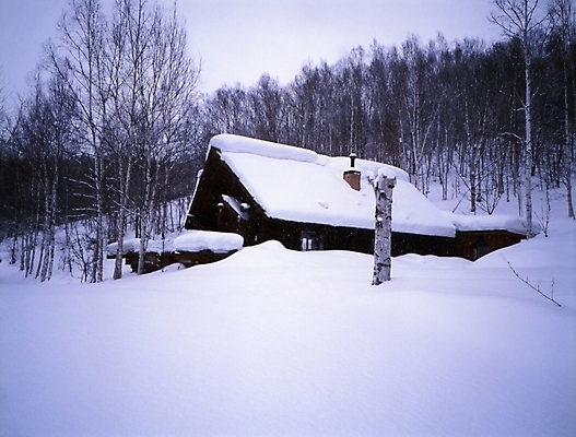 포토 JPG 주간 나무 식물 시설물 건축물 현대건축 건축 설경 겨울 하늘 산 주택 풍경 사람없음 야외 건물 눈 숲 국내포토 자연요소 계절 날씨 파일형식
