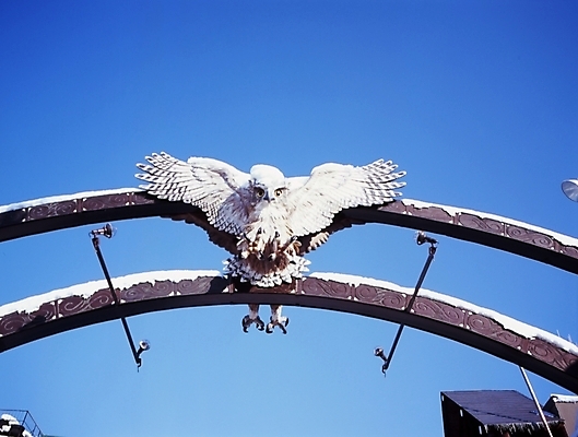 포토 JPG 주간 시설물 현대건축 건축 겨울 조류 하늘 출입구 풍경 사람없음 야외 눈 구조물 올빼미 박제 국내포토 자연요소 동물 건축물 계절 날씨 파일형식