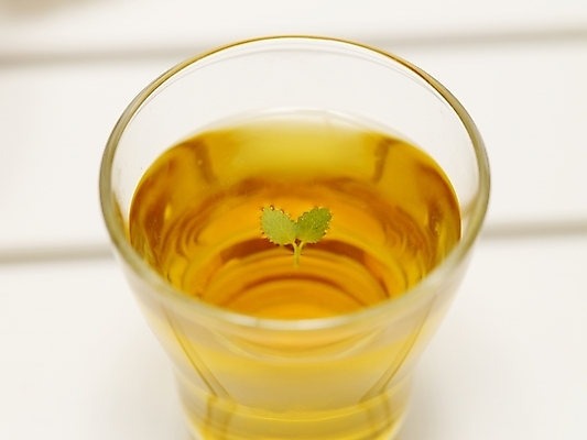 포토 JPG 스튜디오촬영 음료 음식 잔 실내 사람없음 차 녹차 국내포토 식기 내부 차_음료 파일형식