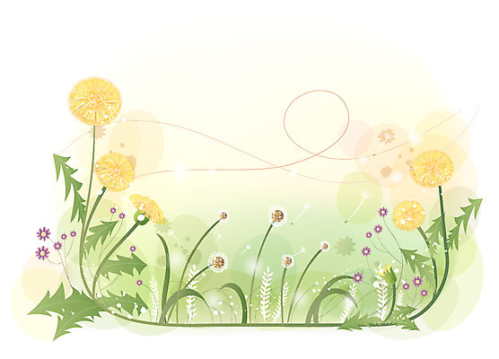 EPS 식물 꽃 백그라운드 꽃백그라운드 일러스트 봄꽃 자연 사람없음 민들레 국내일러스트 봄 생태계 파일형식 벡터